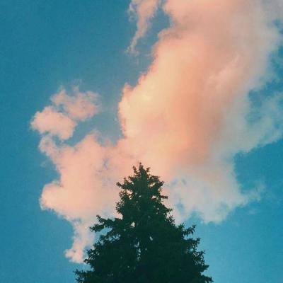 PG电子娱乐网址