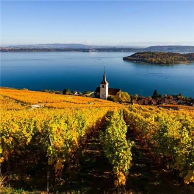 金沙乐娱场app下载下载手机版