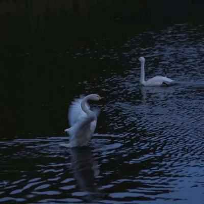 2023澳门资料大全正版