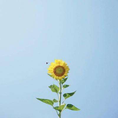 万博客户端app下载