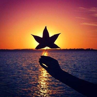 开云·体育平台