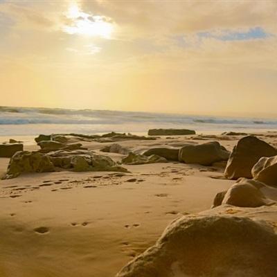 澳客APP下载官网