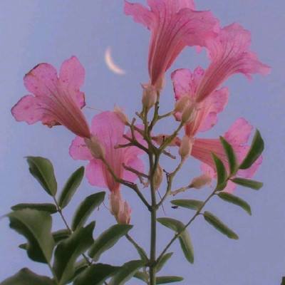 凯时ag登录入口