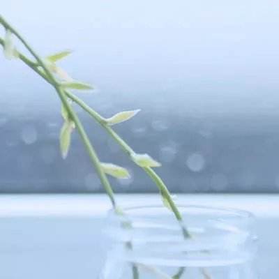 新天地棋牌下载手机版